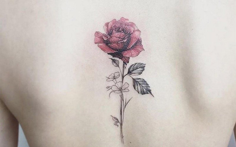 Hình xăm hoa hồng thể hiện vẻ đẹp vĩnh cửu của tình yêu, sự thuần khiết và sự lãng mạn Hình xăm hoa hồng thể hiện vẻ đẹp vĩnh cửu của tình yêu, sự thuần khiết và sự lãng mạn